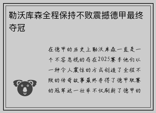 勒沃库森全程保持不败震撼德甲最终夺冠